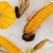 Top view of vibrant corn cobs and squash, perfect for fall-themed stock imagery.